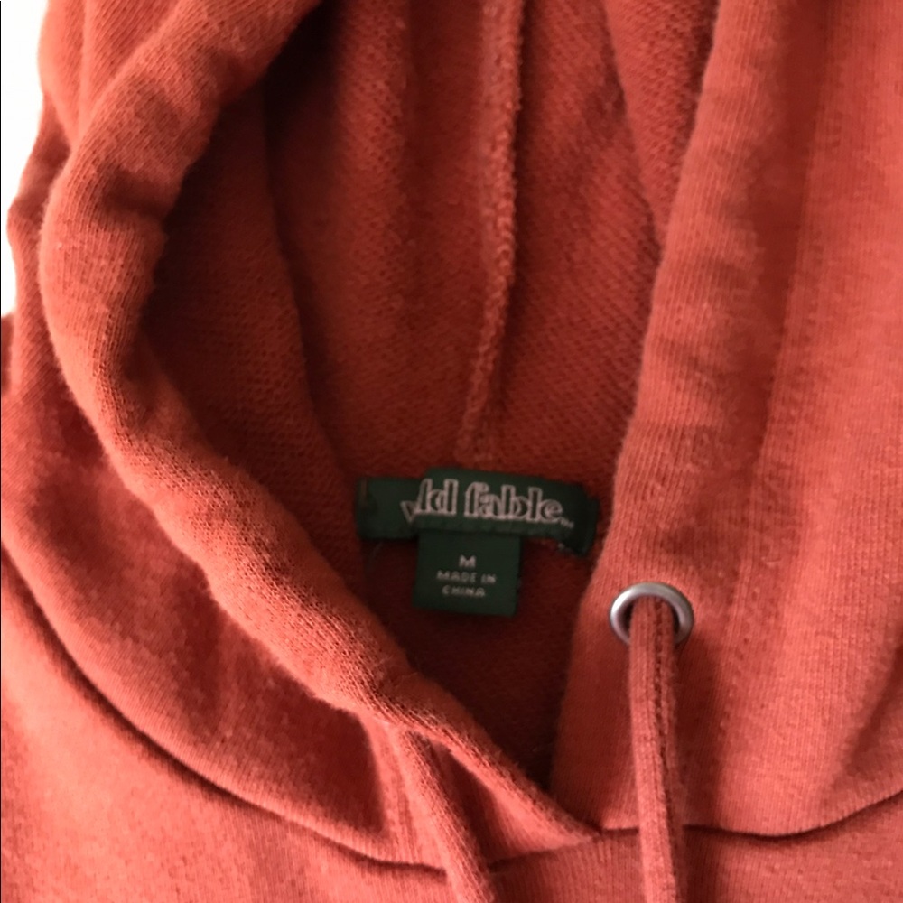 Burnt Orange Cropped Hoodie - Picture 3 of 3